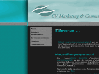 http://cv-marketing-communication.fr/