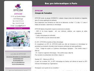 http://www.bac-pro-informatique-paris.com/