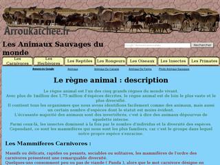 http://www.animaux.arroukatchee.fr/