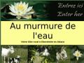 http://www.aumurmuredeleau.fr/