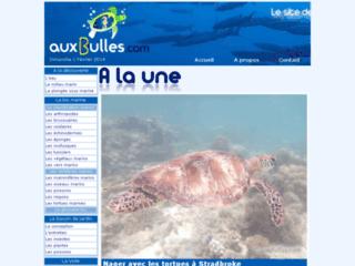 http://www.auxbulles.com/