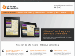 http://www.hibiscusconsulting.fr/