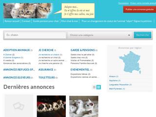 http://www.chaton-a-adopter.com/