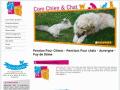 http://www.com-chien-chat.com/