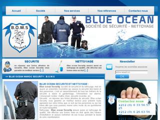 http://www.bleuoceansecurity.com/