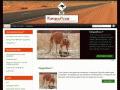 http://www.kangouroux-concept.com/