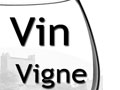 http://www.vin-vigne.com/