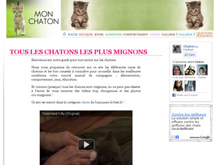 http://www.mon-chaton.fr/