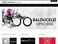 https://www.balducelli-opticiens.fr/