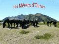 http://www.merens-olmes.fr/