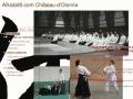 https://www.aikido85.com/